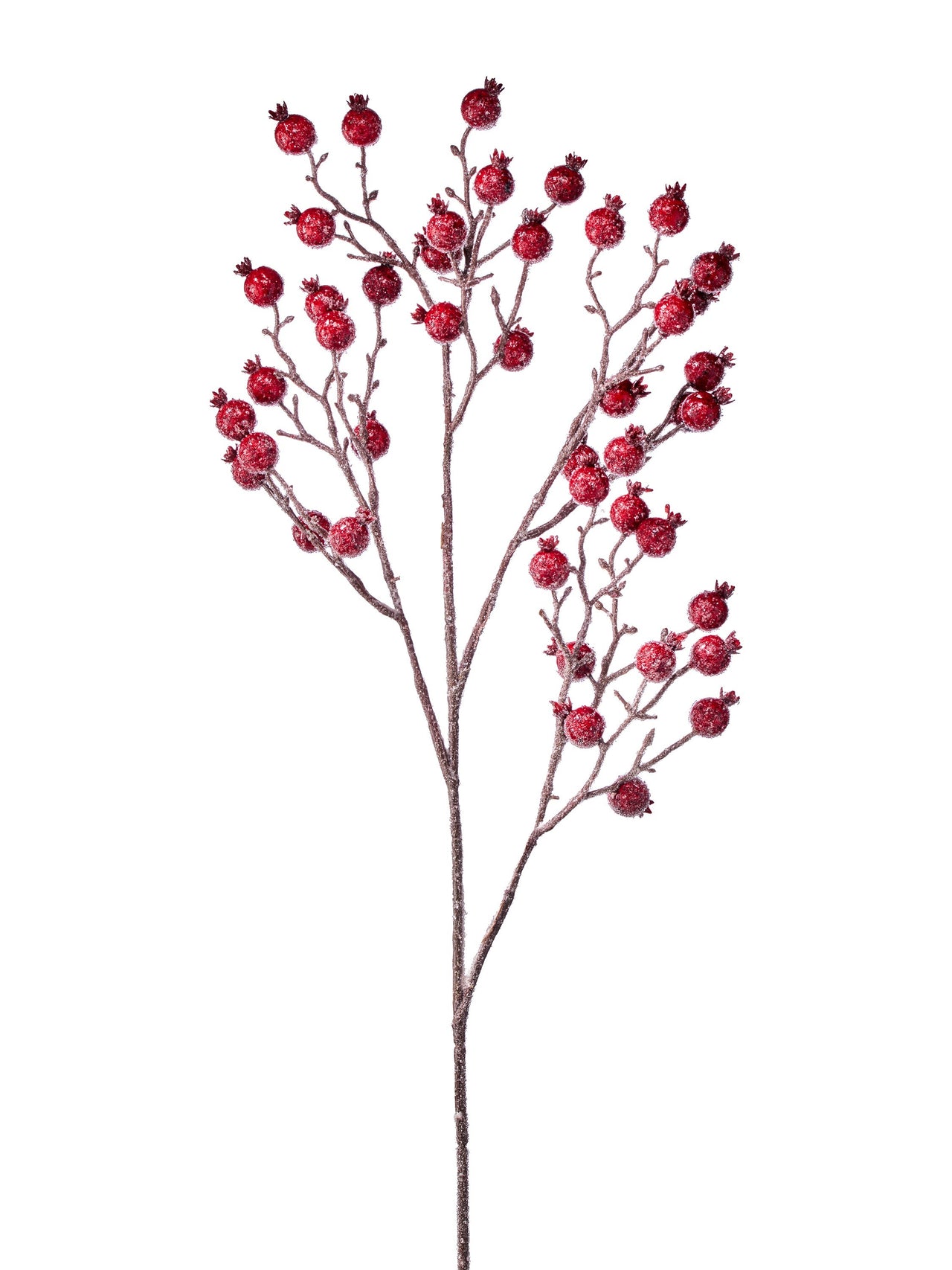38" Wp Iced Crown Berry Spray
