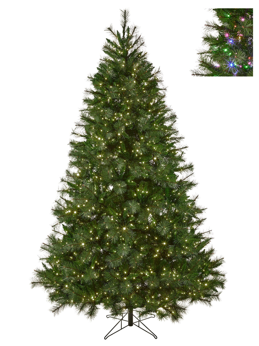 6.5'Dual3Mmled Dlx Belgium Tree53"D1150L