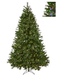 9' Dual3Mmled Dlx Belgium Tree73