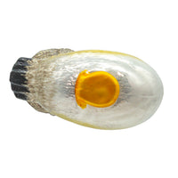 Noble Gems™ Glass Wood Duck Ornament