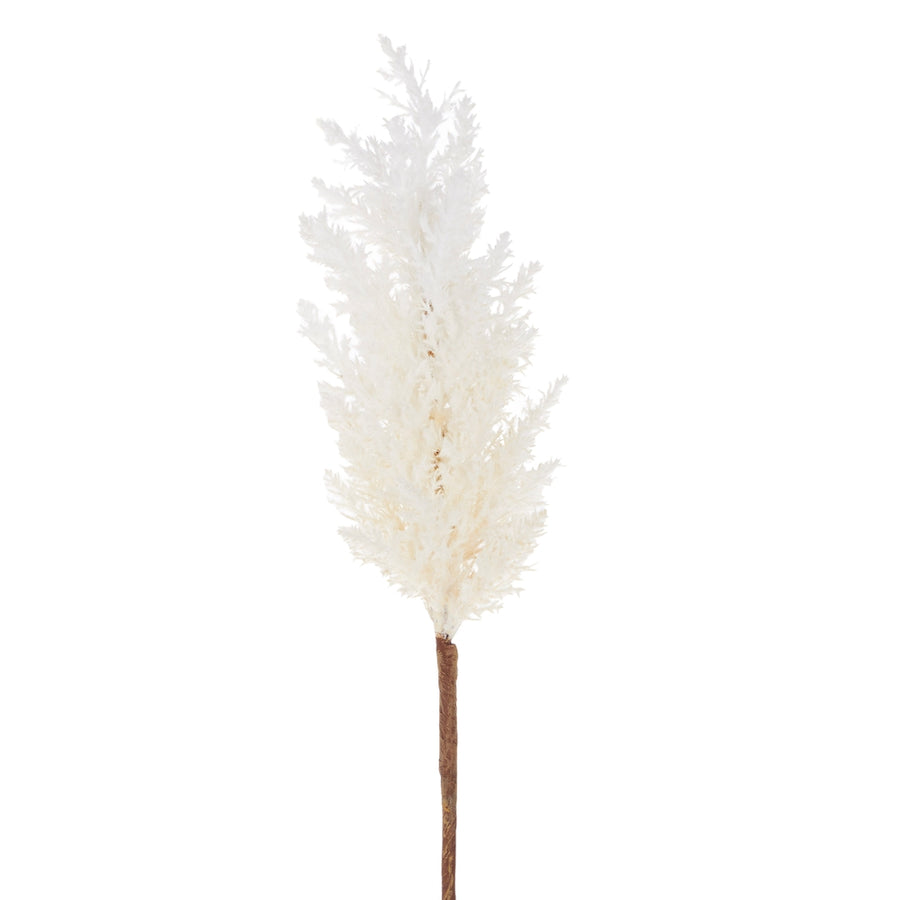 32" Pampas Grass Stem