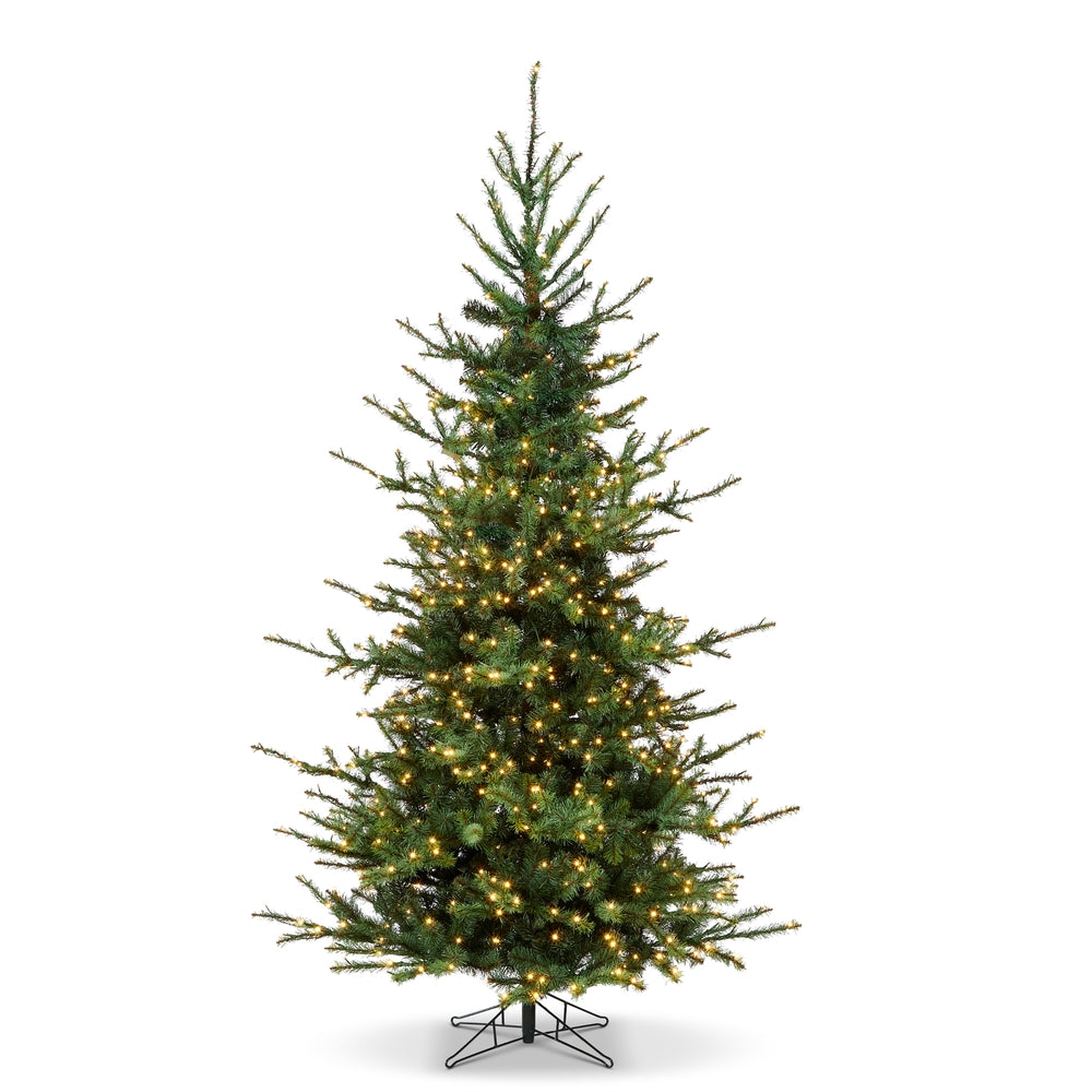 7.5' Rocky Mountain Spruce with Brilliant Color Change LED Lights
