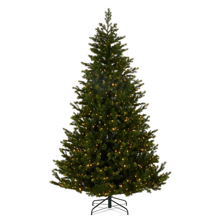 *DC* 7.5' Fraser Fir Tree