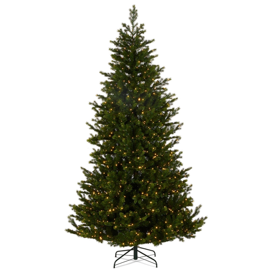 *DC* 9' Pre-Lit Fraser Fir Tree