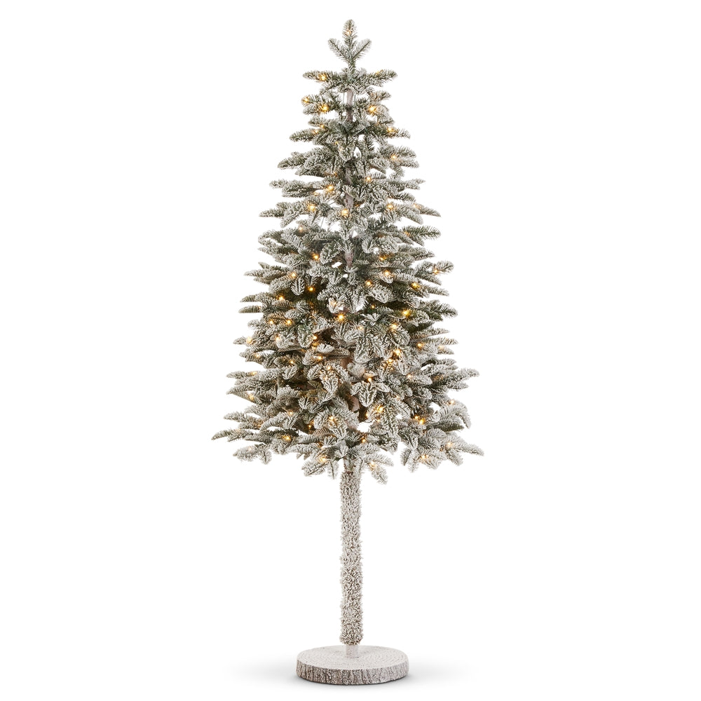 5.5' Pre-Lit Flocked Fir Tree on Stand