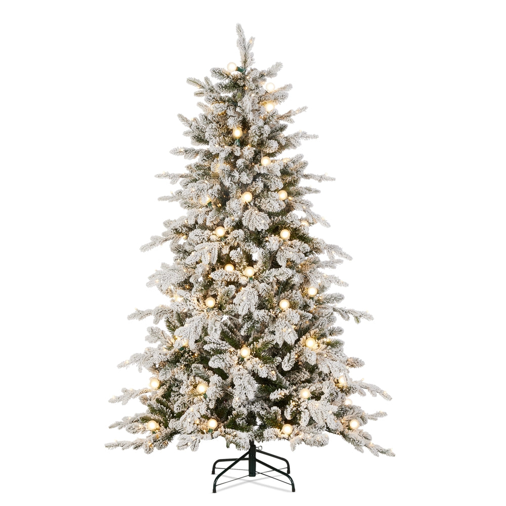 *DC* 6' Pre-Lit Flocked Blue Spruce with G40 Bulbs Tree