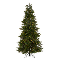 *DC* 7.5' Pre-Lit Norway Spruce Tree