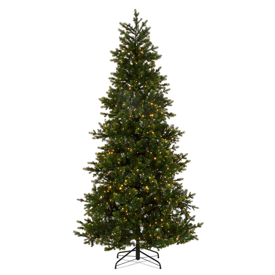 *DC* 7.5' Pre-Lit Norway Spruce Tree