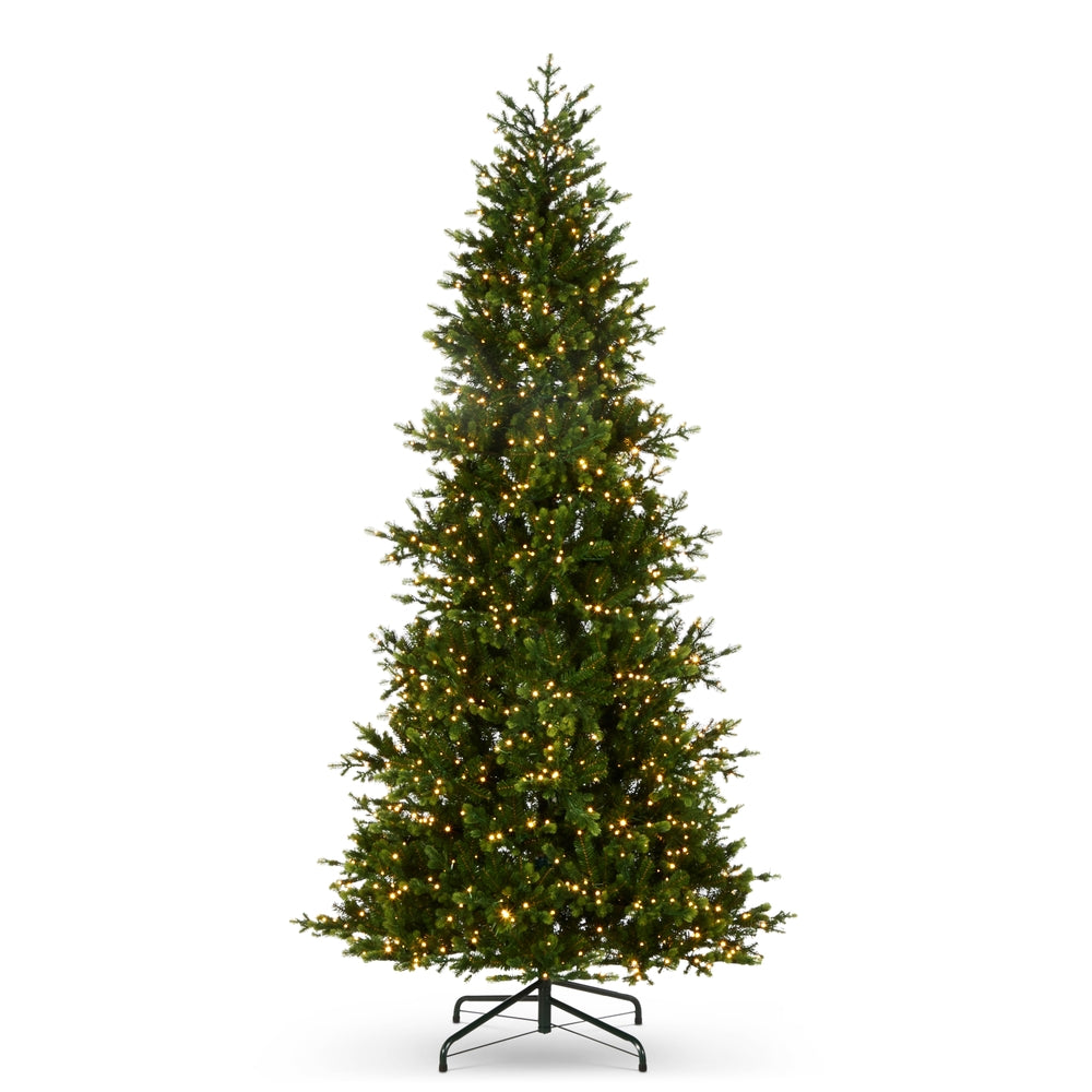 *DC* 9' Pre-Lit Norway Spruce Tree