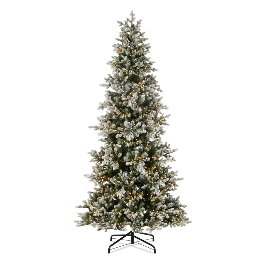*DC* 9' Pre-Lit Snowy Norway Spruce Tree