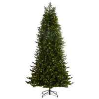 *DC* 12' Pre-Lit Slim Evergreen Spruce Tree