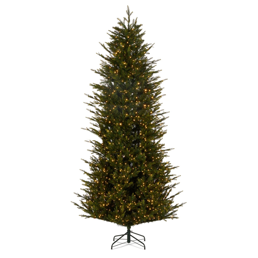 *DC* 12' Pre-Lit Balsam Fir Tree