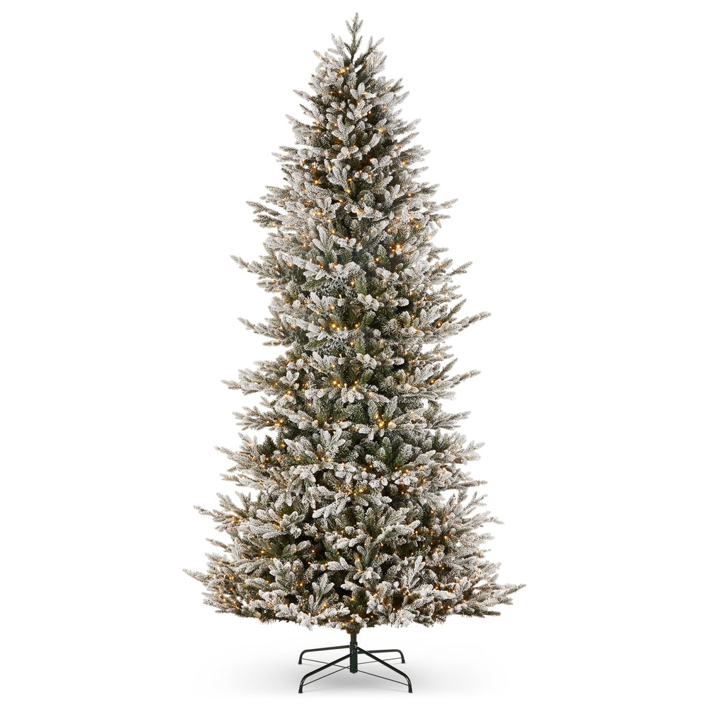 *DC* 12' Pre-Lit Flocked Noble Fir Tree