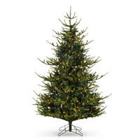 *DC* 9' Pre-Lit Deluxe Rocky Mountain Spruce Tree