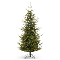 *DC* 9' Pre-Lit Rocky Mountain Spruce Tree