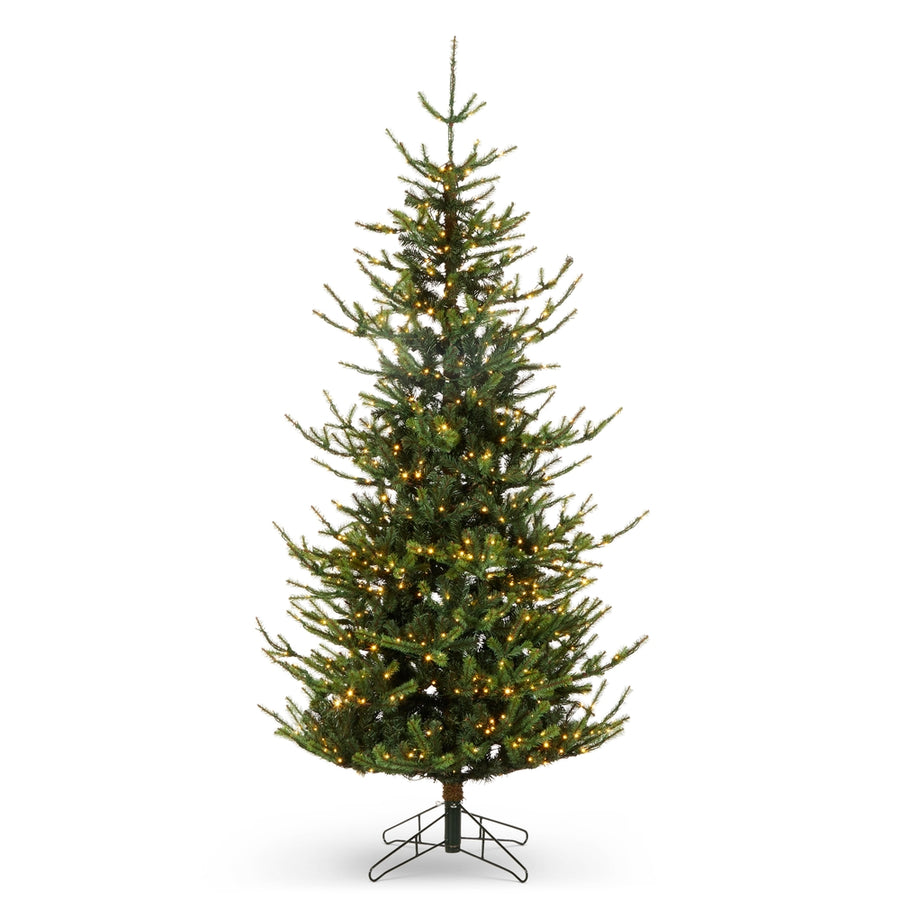 *DC* 9' Pre-Lit Rocky Mountain Spruce Tree