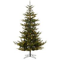 *DC* 7.5' Pre-Lit Norwegian Spruce Tree