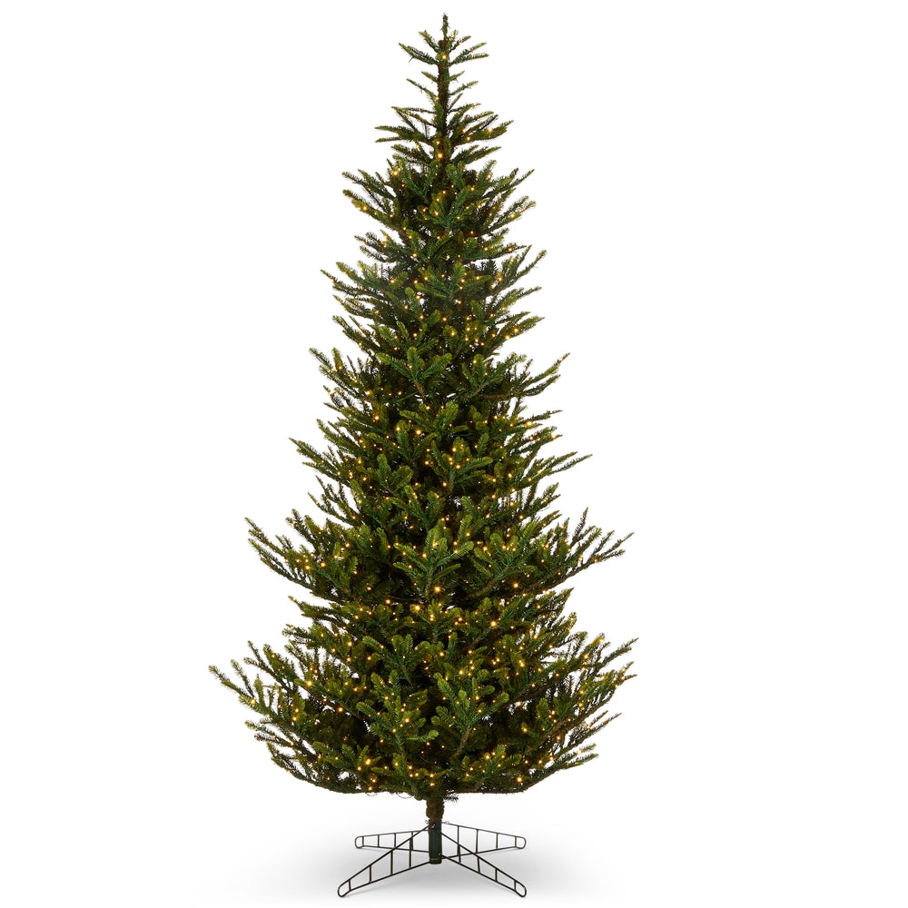 *DC* 12' Pre-Lit Norwegian Spruce Tree