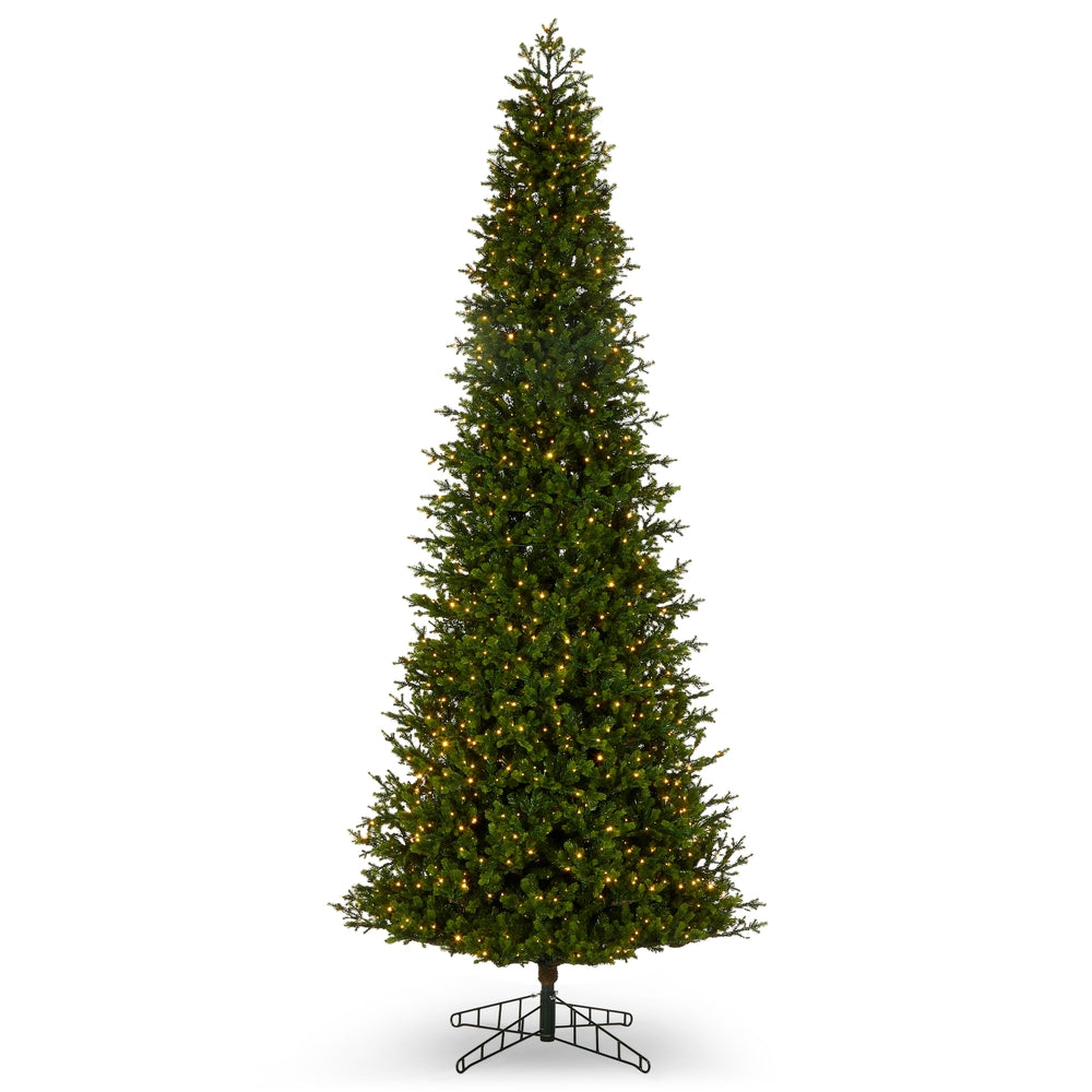 *DC* 12' Pre-Lit Slim Douglas Fir Tree