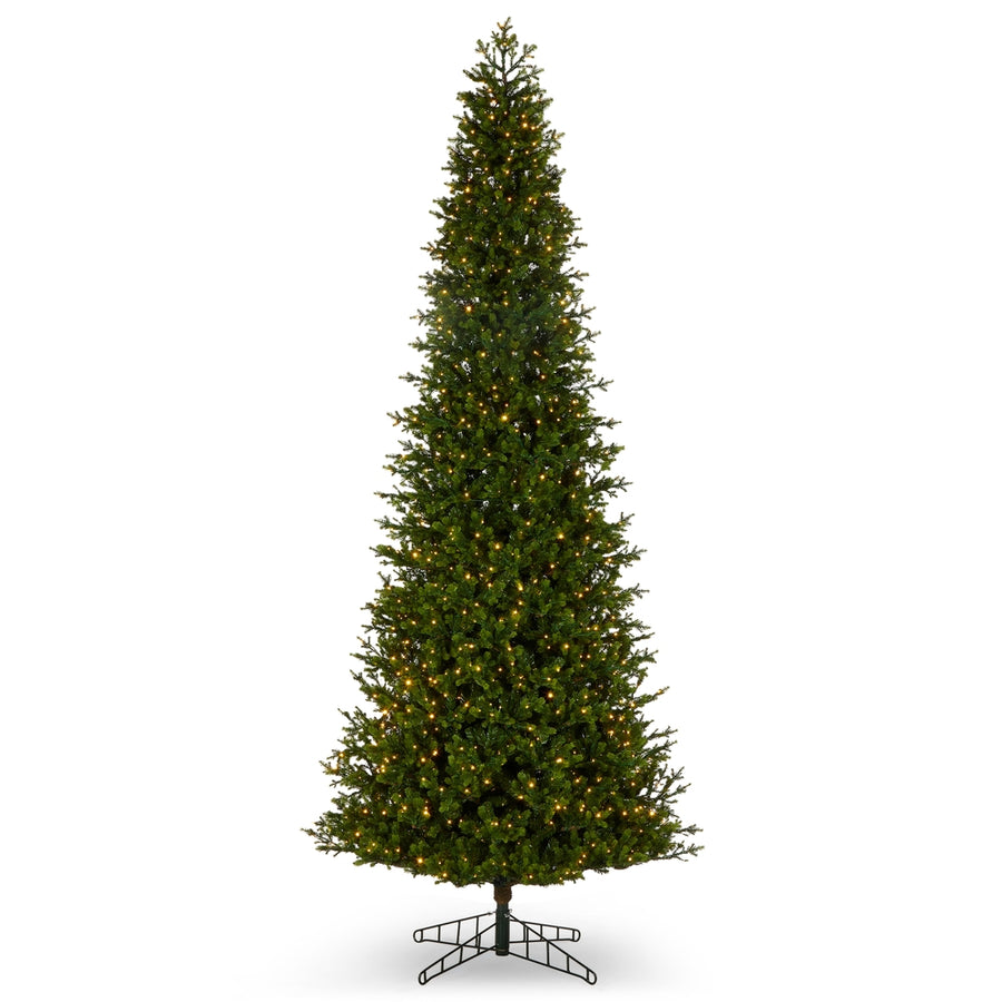 *DC* 12' Pre-Lit Slim Douglas Fir Tree