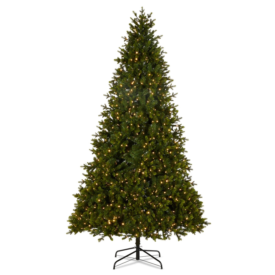 *DC* 9' Pre-Lit Douglas Fir Tree