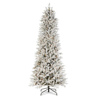 *DC* 9' Pre-Lit Flocked Fir Noble Tree