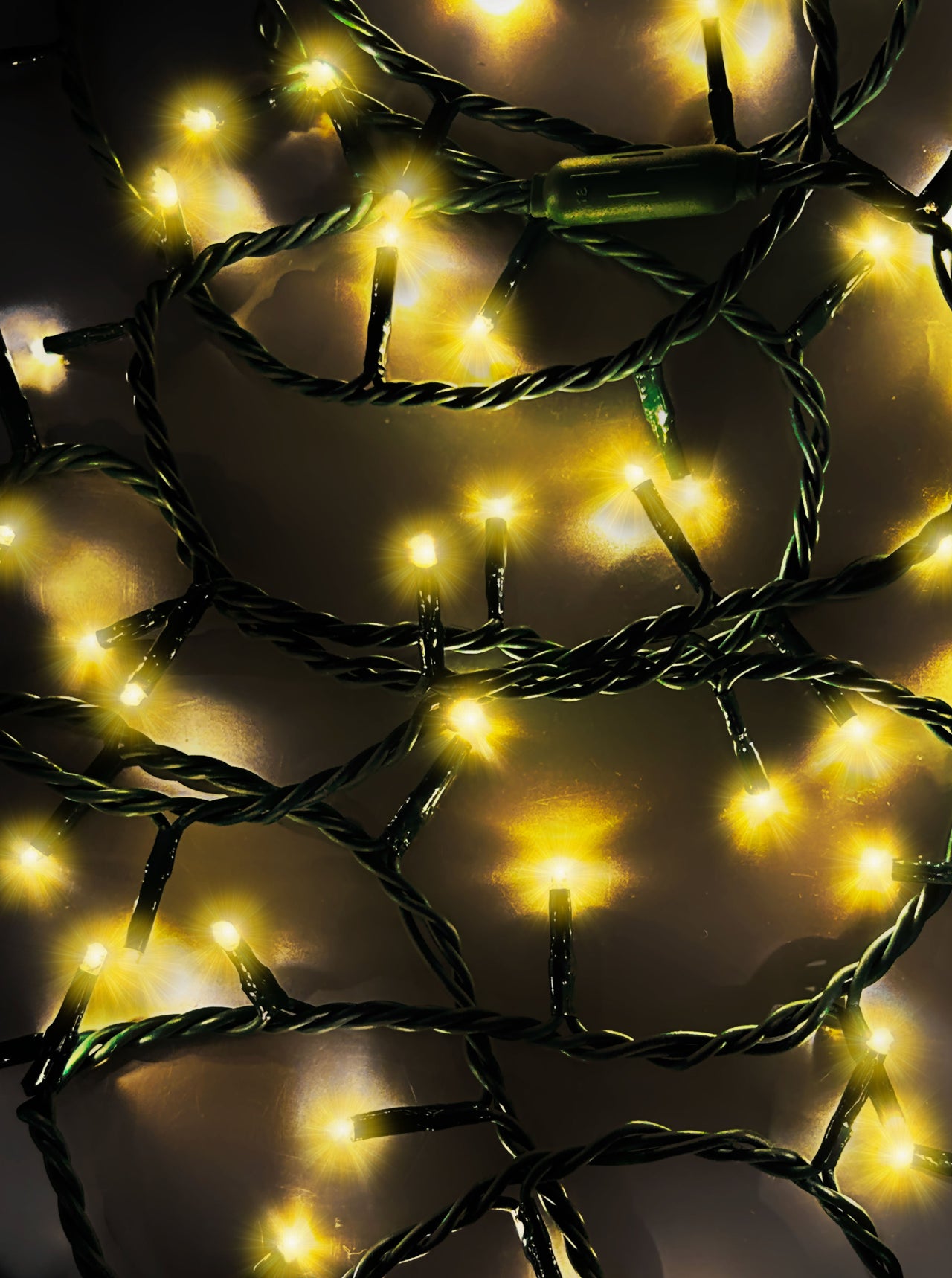 16.5' UL 100L Warm White LED Green Wire Jingle Bright™ Light Set