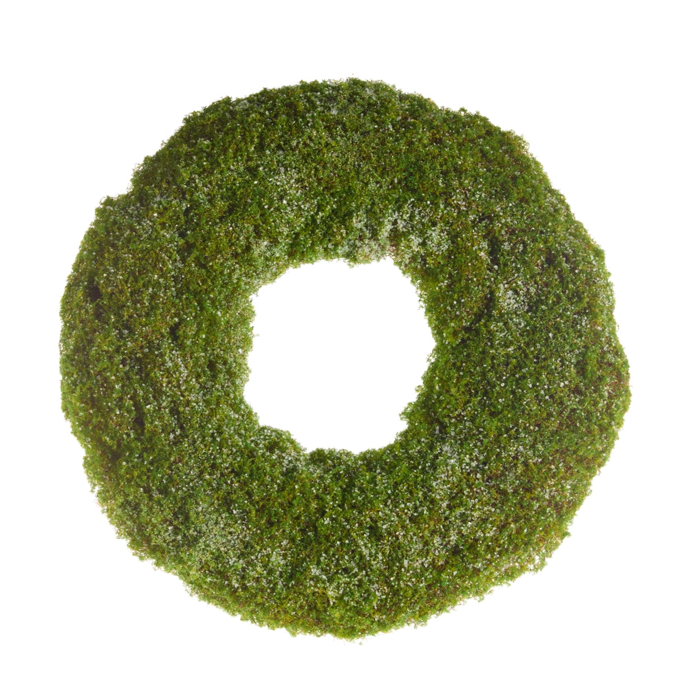 20" Iced Moss Wreath
