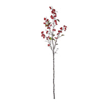 Red Berry Branch, 55