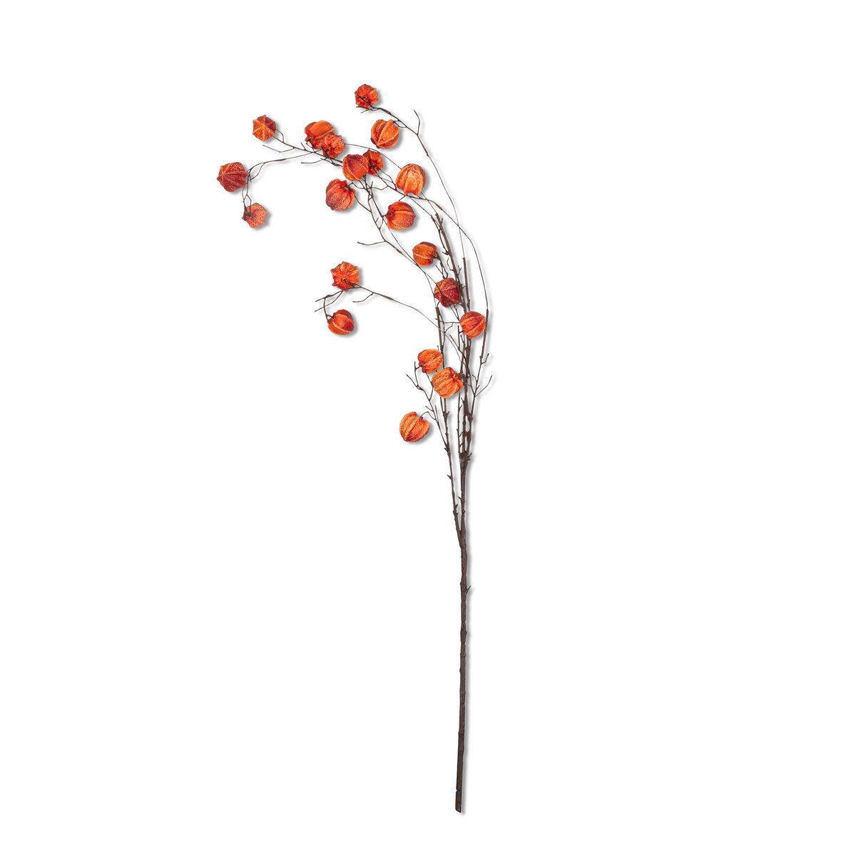 Orange Poha Pod Branch, 52"L