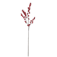 Red Berry Branch, 55