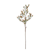 Berry Branch, 45