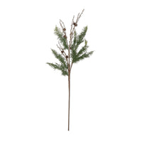 Pine Branch with Pinecones, 36