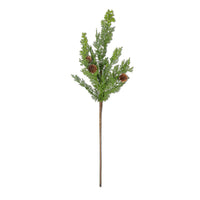 Soft Touch Cedar Spray, 23