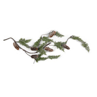 Pine Spray, 27