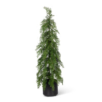 Potted Soft Touch Cedar Tree, 36