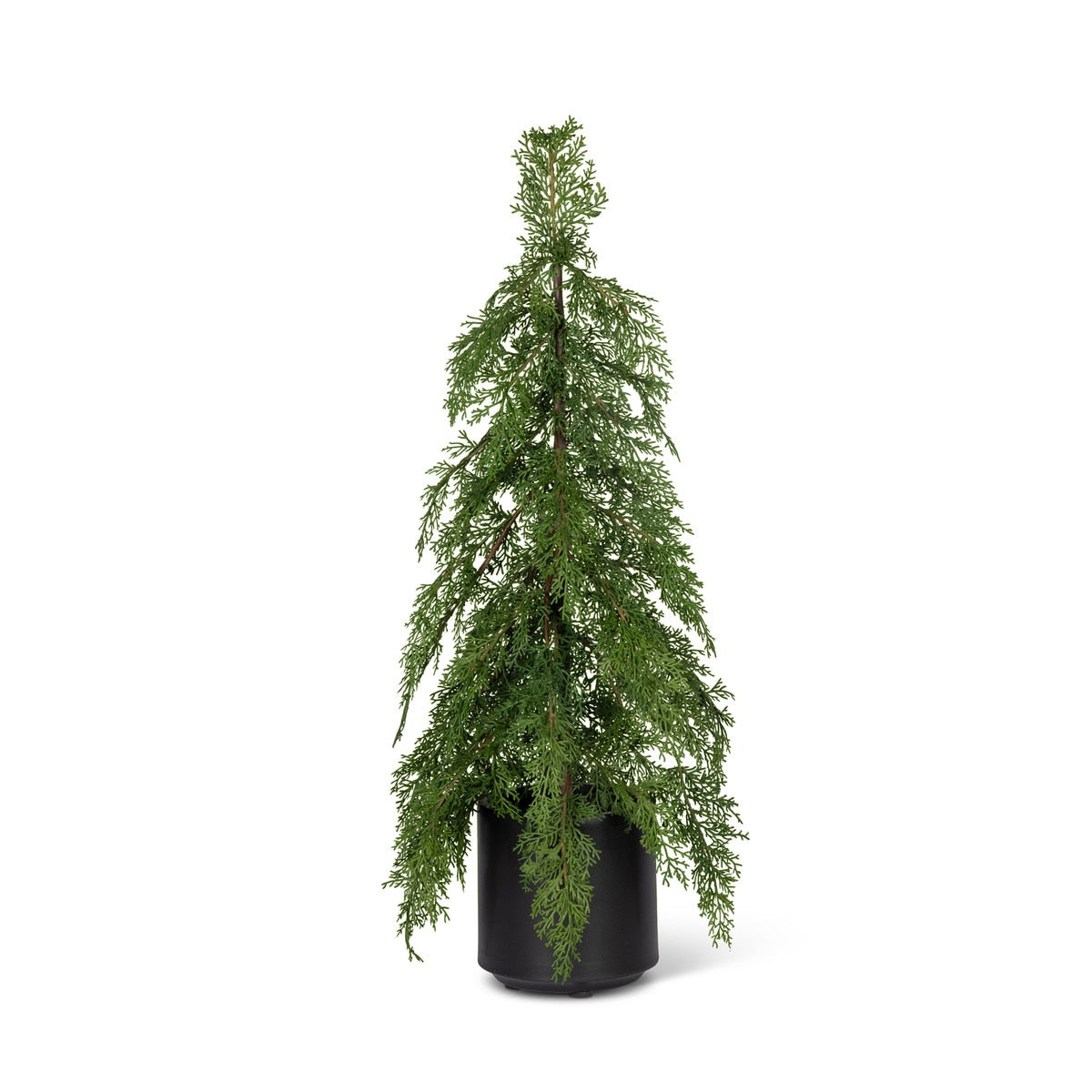 Potted Soft Touch Cedar Tree, 24" H