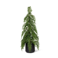 Potted Soft Touch Cedar Tree, 24