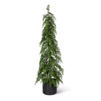 Potted Soft Touch Cedar Tree, 48