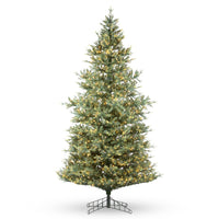 Montana Spruce Tree, Multi Function w/ Soft Twinkle, 12'H (BOX 1)