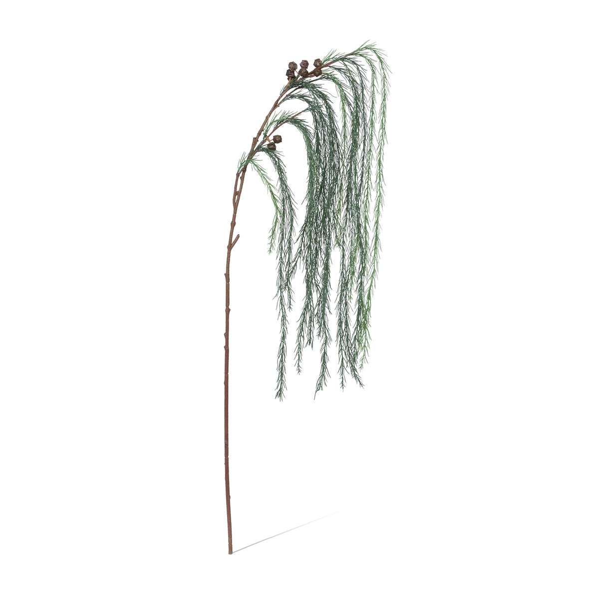 Weeping White Pine Spray