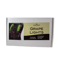 5.3' 100L Burgundy Grape Cluster LED Light Set