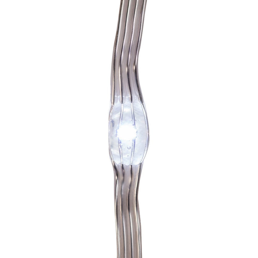 33' 100L Cool White LED Ribbon Light With Clear PVC Wire In PDQ