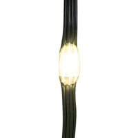33' 100L Warm White LED Ribbon Light With Green PVC Wire In PDQ