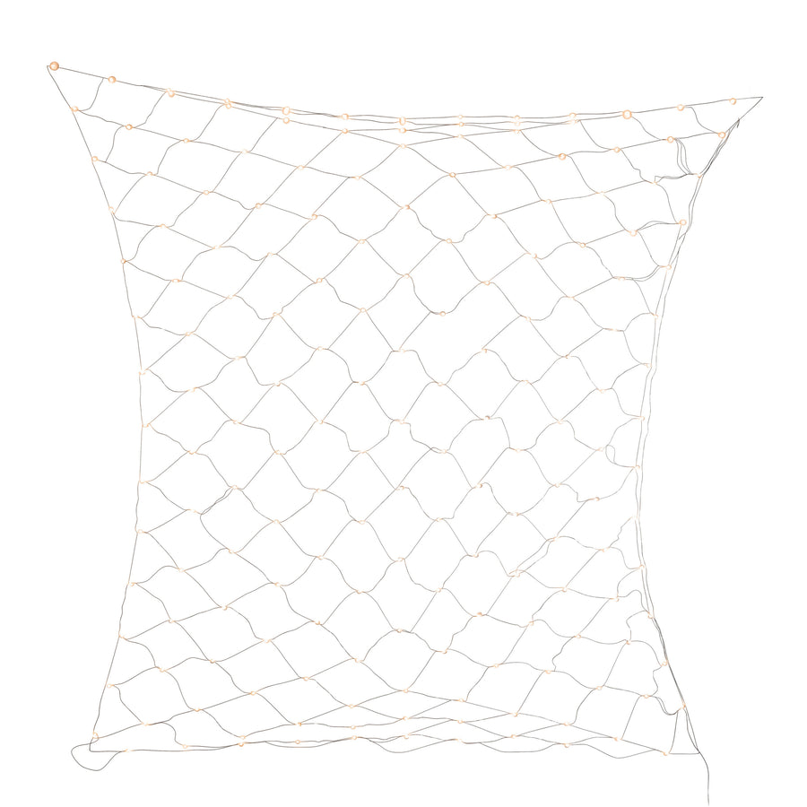 180L Dual Color (Warm White and Multicolored) LED Net Light (4 Functions)