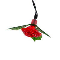 12' 10L Red Rose LED Light Set