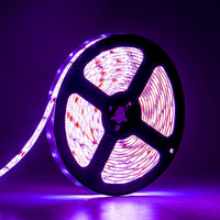 16.4' UV LED Connectible Black Light