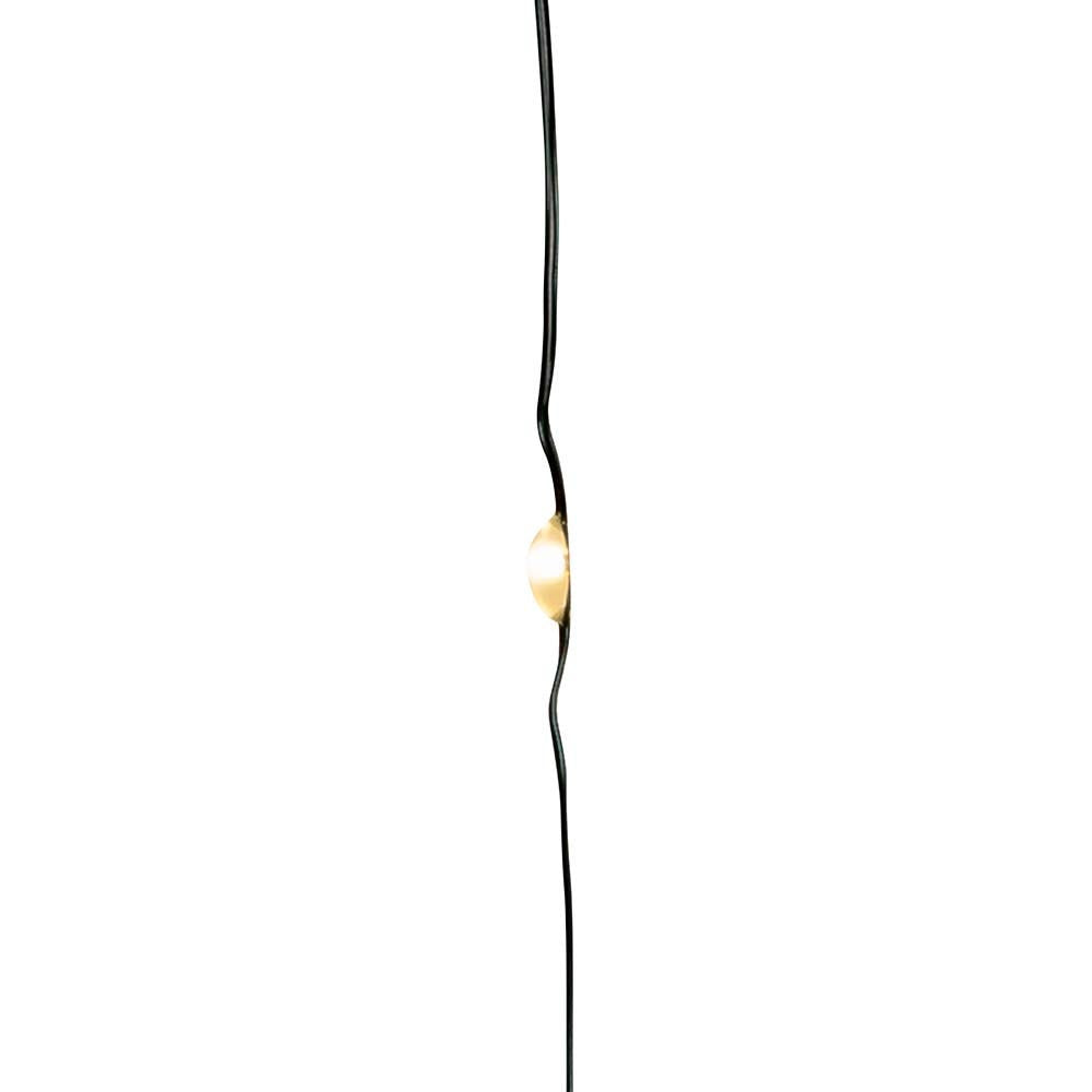 16.3' Battery Operated 50L Warm White Fairy LED Green Wire Light Set In PDQ