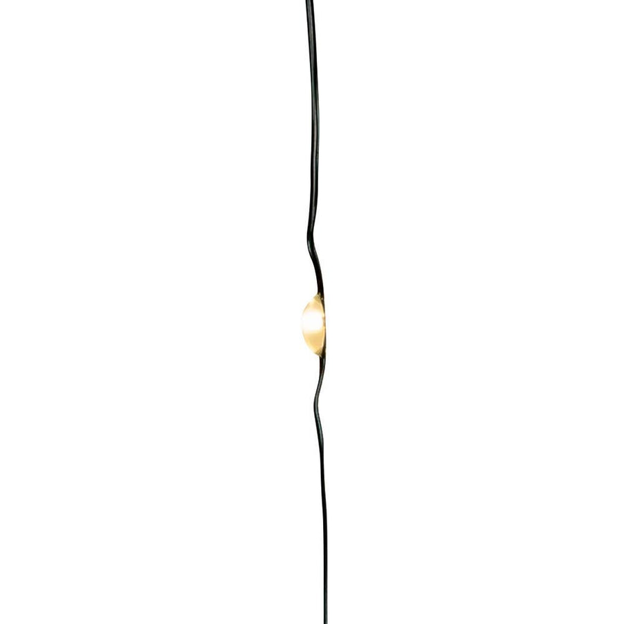 16.3' Battery Operated 50L Warm White Fairy LED Green Wire Light Set In PDQ