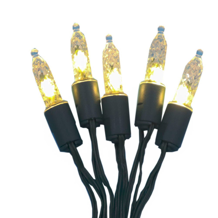 6.3' Battery Operated 20L Warm White & Multicolor Mini Fairy LED Clear Wire In PDQ